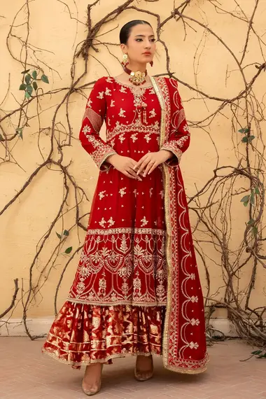 Stitched Embroidered Maxi | RN-66 by RANG E NOOR, Red