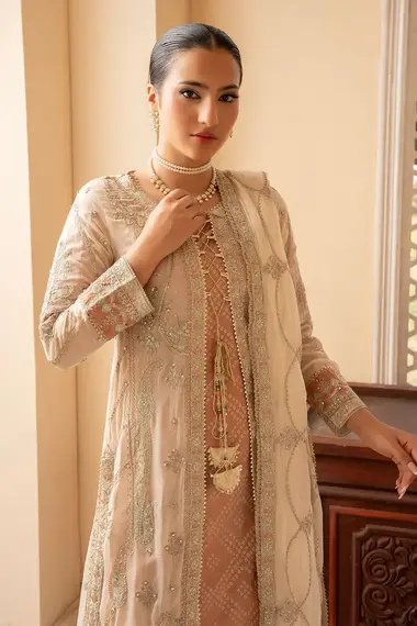 Stitched Embroidered Gown Sharara | RNC-65 by RANG E NOOR, GhostWhite
