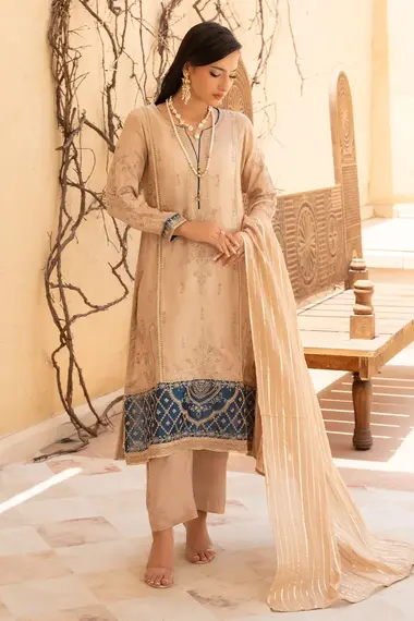 Stitched Embroidered Long Shirt | RNF-25 by RANG E NOOR, BurlyWood