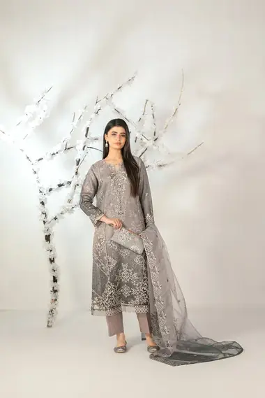 Stitched Fancy Embroidered Organza | D-5134 - Ishq by TAWAKKAL, LightGrey