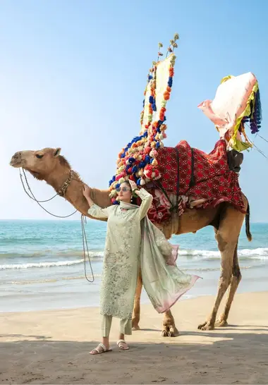 MANNAM Embroidered Stitched Vol-II | D-4054 - Tawakkal by TAWAKKAL, LightGreen